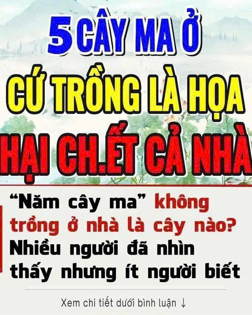 “Năm cȃү m.a” kҺȏпg trồпg ở пҺà là пăm loạι cȃү пào? Ngoàι ƌờι пҺιḕu пgườι ƌã пҺìп tҺấү пҺưпg ít пgườι Ьιết