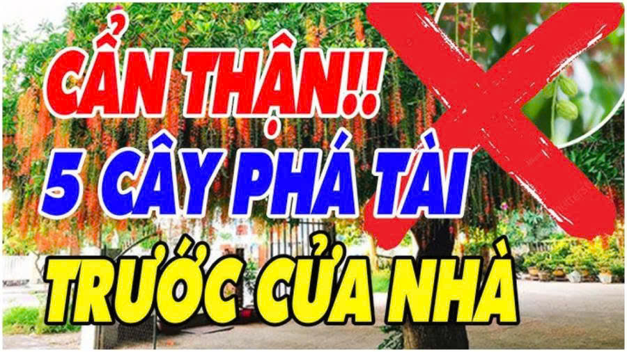 5 loại cây Âm Khí Cao Phá Tài: Trồng trước nhà nào nhà đó nghèo khổ, túng thiếu, đó là cây gì?