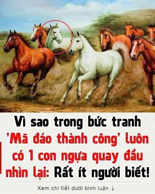 Lý do trong tranh “mã đáo thành công” có con ngựa ngoảnh đầu lại