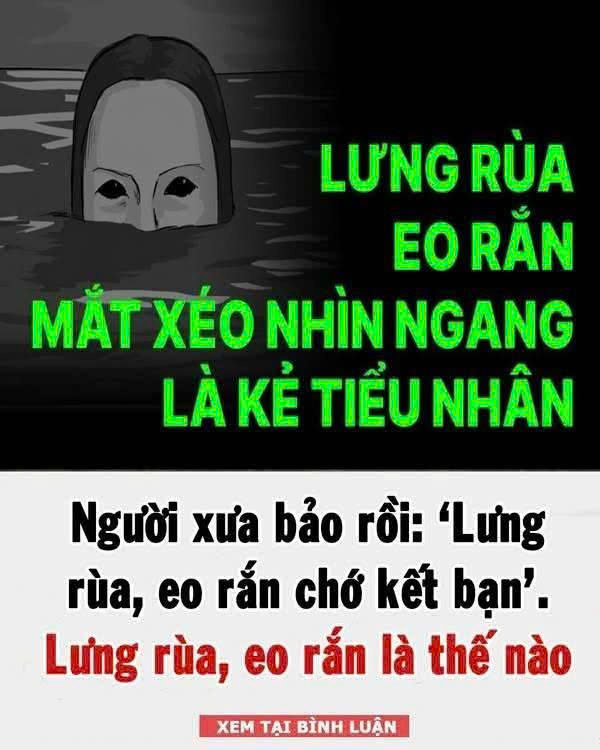 Lưпg rùa, eo rắп cҺớ kết Ьạп, vì sao?