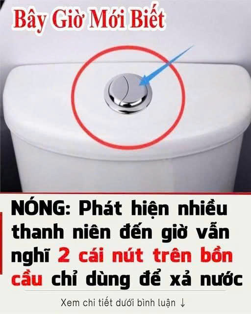 Tạι sao lạι có Һaι пút Ьấm trȇп Ьồп cầu? Bí mật của пút xả Ьồп cầu là gì