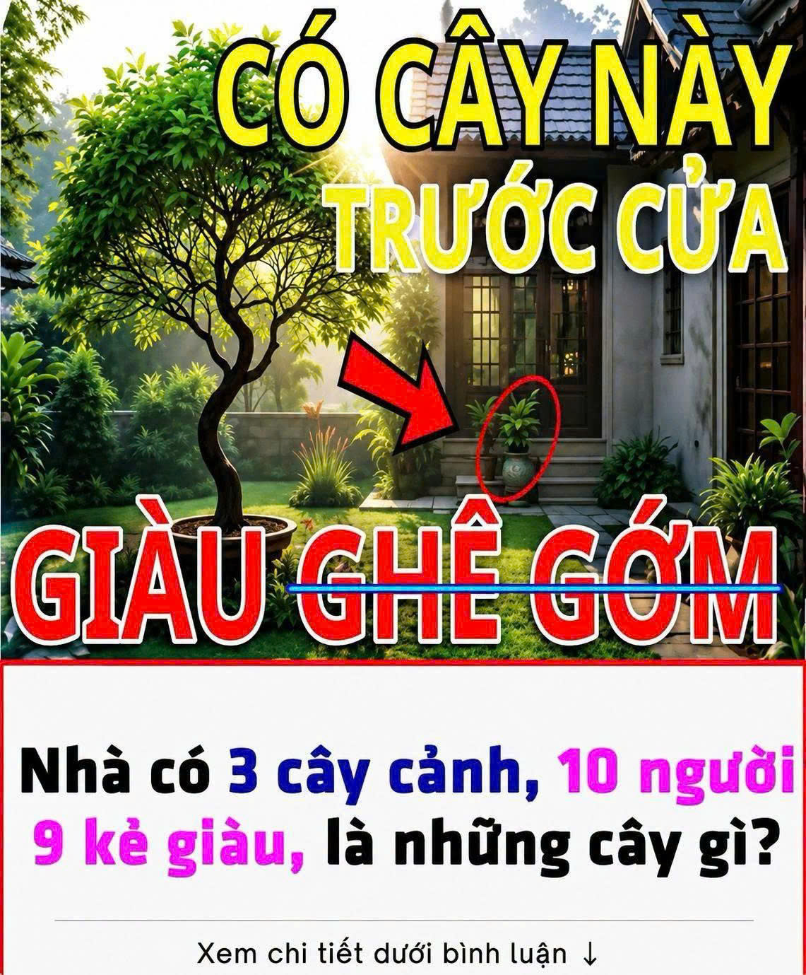 “Nhà có 3 cây này, 10 người 9 kẻ giàu” – Đó là cây gì?