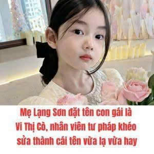 Mẹ Lạng Sơn đặt tên con gái là Vi Thị Cò, nhân viên tư pháp khéo sửa thành cái tên vừa lạ vừa hay