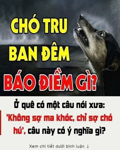 Ở quê có một câu nói xưa: ‘Không sợ ma khóc, chỉ sợ chó hú’, câu này có ý nghĩa gì?